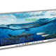 South Florida Shark Club Poster Banner